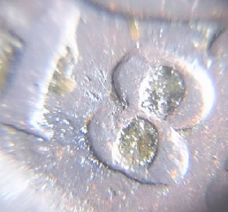 1851-Large-Cent-Newcomb?
